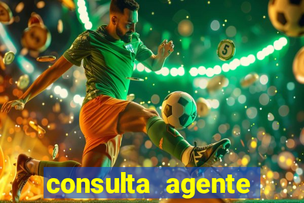 consulta agente autuador sp